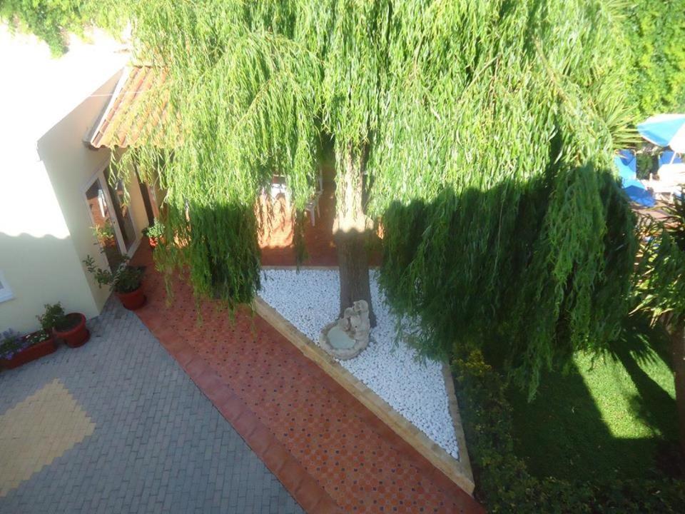 Sofia Studios & Apts Ayía Marína Екстериор снимка